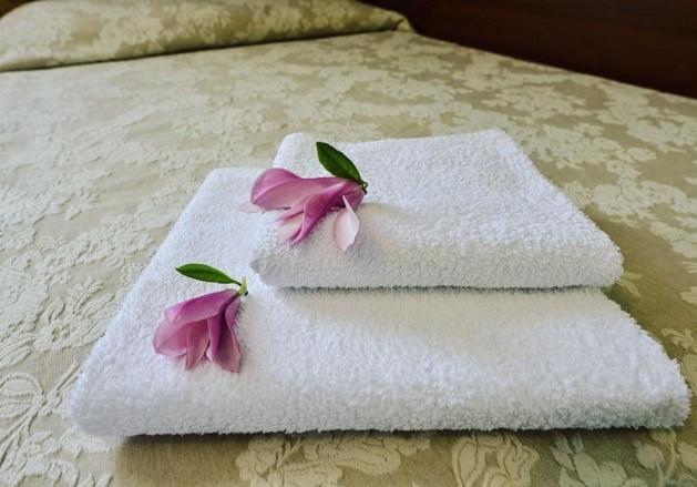 Hotel Mateo Stopnica エクステリア 写真